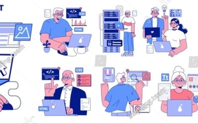 Tercera Vida Profesional